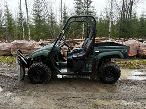 Yamaha Rhino