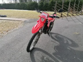 Beta RR