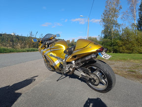 Suzuki GSX