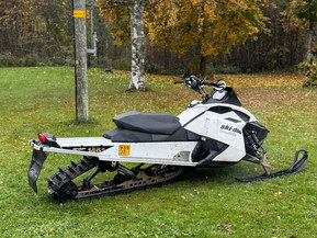Ski-Doo Freeride