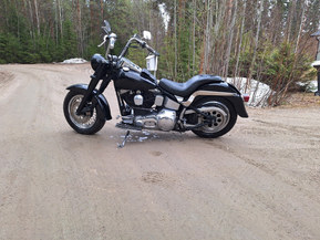 Harley-Davidson Softail