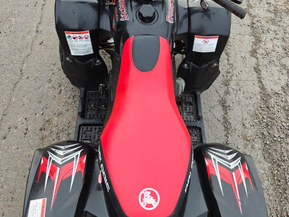 Polaris Predator