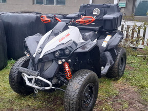 Can-Am renegade