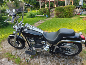 Harley-Davidson Softail