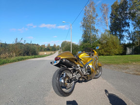 Suzuki GSX
