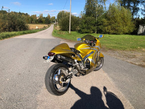 Suzuki GSX