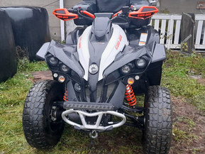 Can-Am renegade
