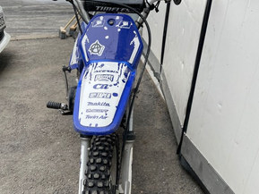 Yamaha PW