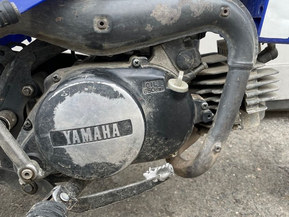 Yamaha PW