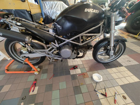 Ducati Monster