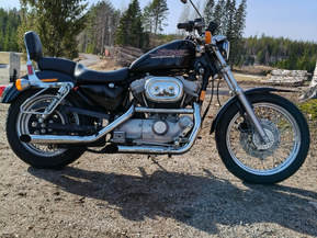 Harley-Davidson Sportster