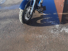 Harley-Davidson Softail