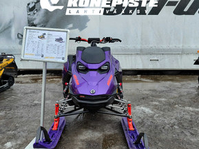 Ski-Doo Freeride