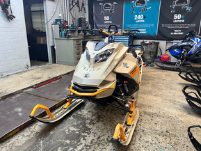 Ski-Doo Freeride