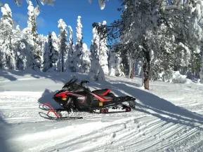 Lynx X-trim