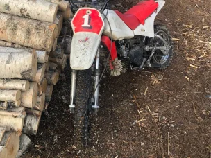 Yamaha PW