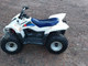 Suzuki QuadSport