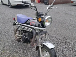 Suzuki PV