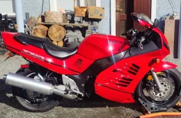 Suzuki RF
