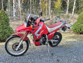 Suzuki DR
