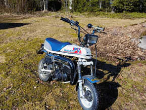 Suzuki PV