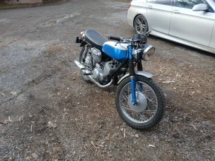 Suzuki T