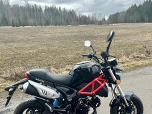 Dynamic Monster