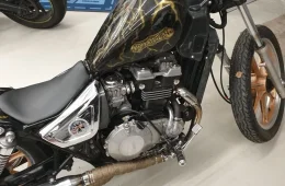 Kawasaki EN