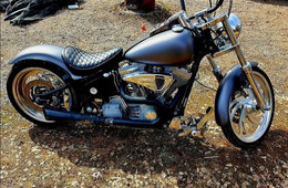 Harley-Davidson Softail