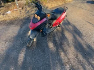 Kymco Cobra cross