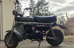 Suzuki PV