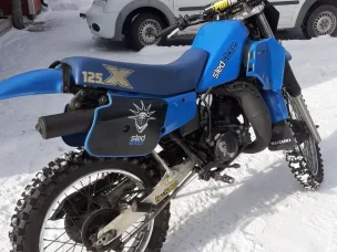 Suzuki TS