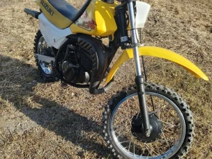 Suzuki DS