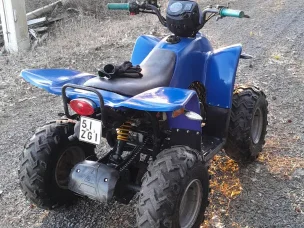 Linhai 50
