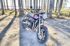 Suzuki GSX