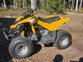 Can-Am DS