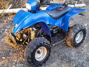 Linhai 50