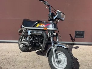 Suzuki PV