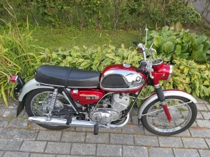 Suzuki T