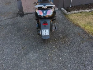 Peugeot Vivacity