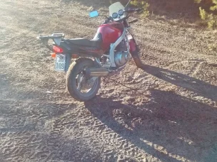 Suzuki GS