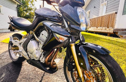 Kawasaki ER-6n
