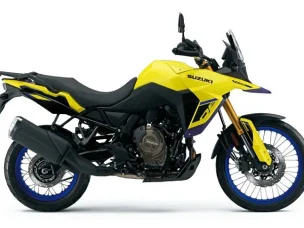 Suzuki DL
