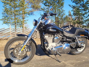 Harley-Davidson Dyna