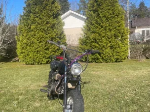 Honlei 50 cc