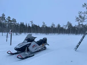 Lynx 600