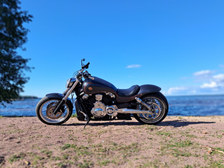 Harley-Davidson VRSC