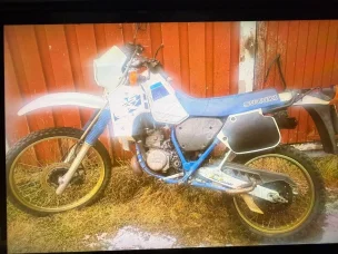 Suzuki TS