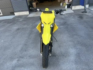 Suzuki TS