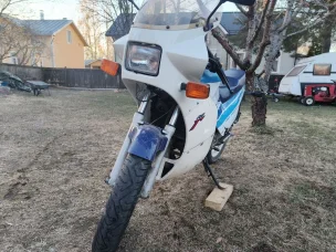 Suzuki RG